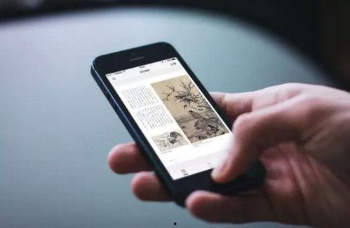 555国产福利在线视频